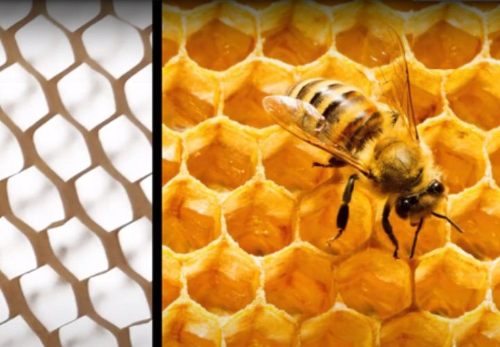 EVi Web Academy - EVi Wrap